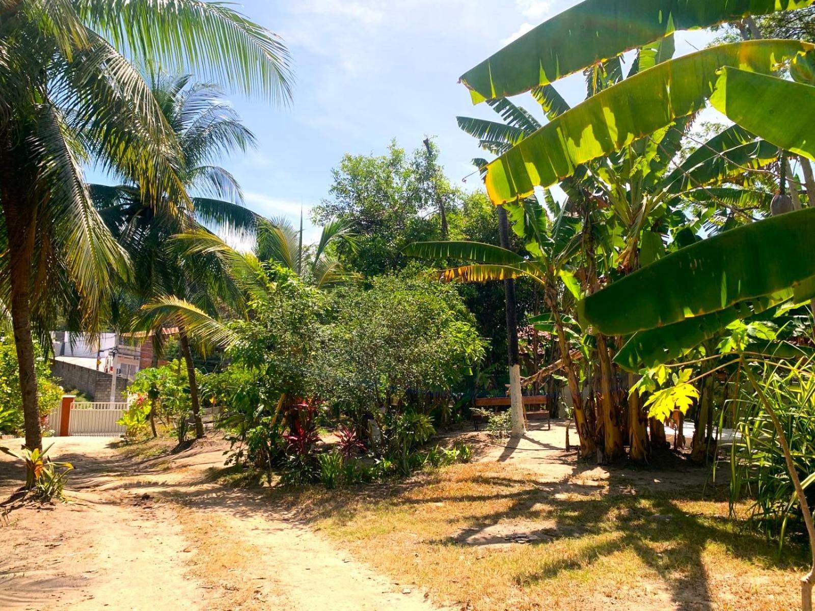 Jacarecica Haus